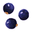 Blackcurrant