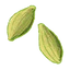 Cardamom