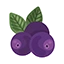 Cassis