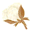 Musk