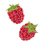 Raspberry