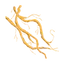 Vetiver