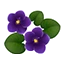 Violet